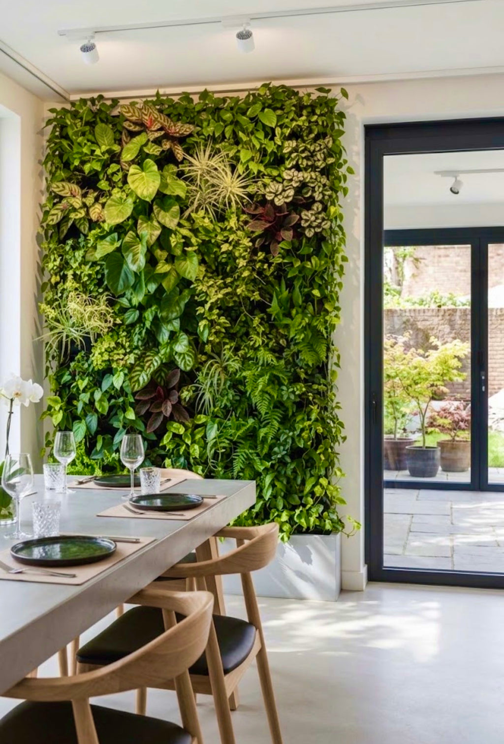 Frameless Living Wall System