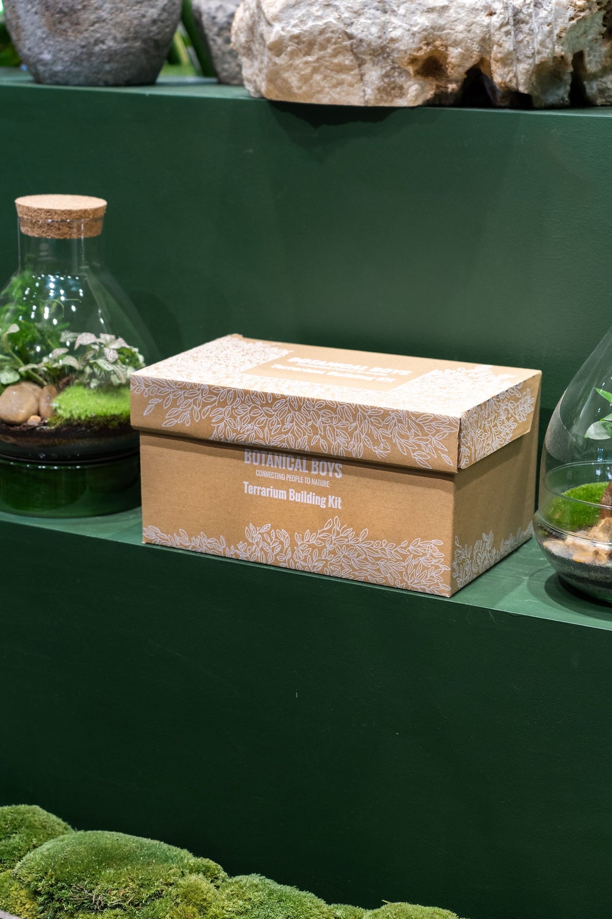 Eden Dome Terrarium Kit 16.5cm