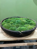 Vintage Wooden Moss Bowl with Preserved Moss | Handmade