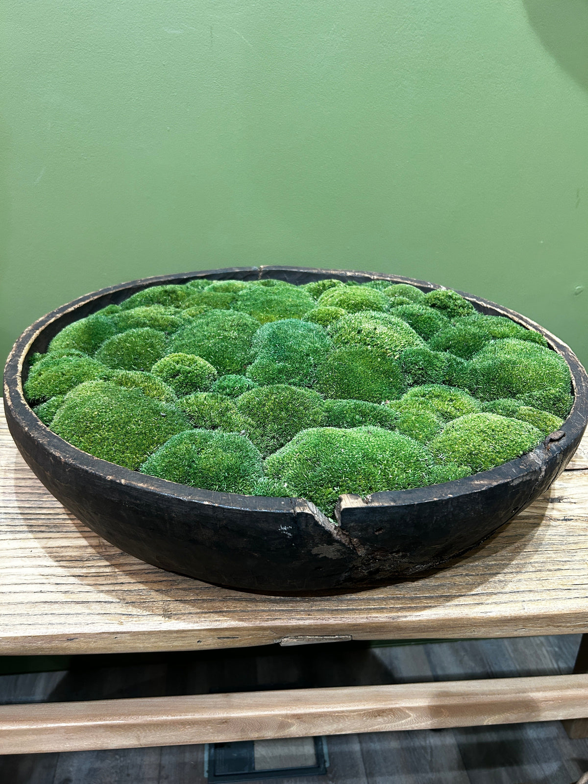 Vintage Wooden Moss Bowl with Preserved Moss | Handmade