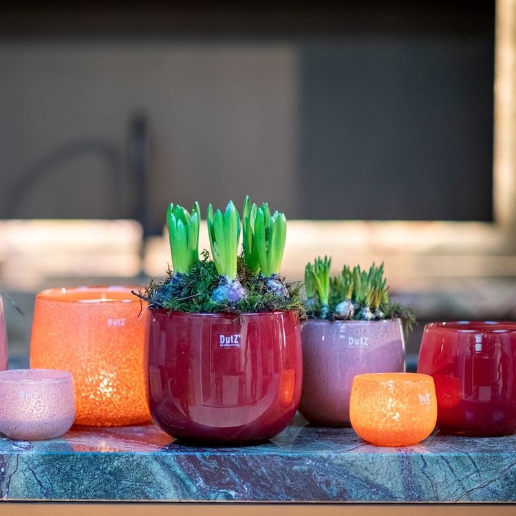 The Mouthblown Glass POT Collection - by DutZ