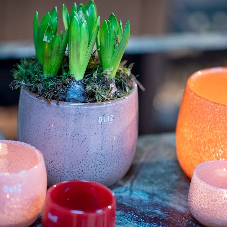 The Mouthblown Glass POT Collection - by DutZ