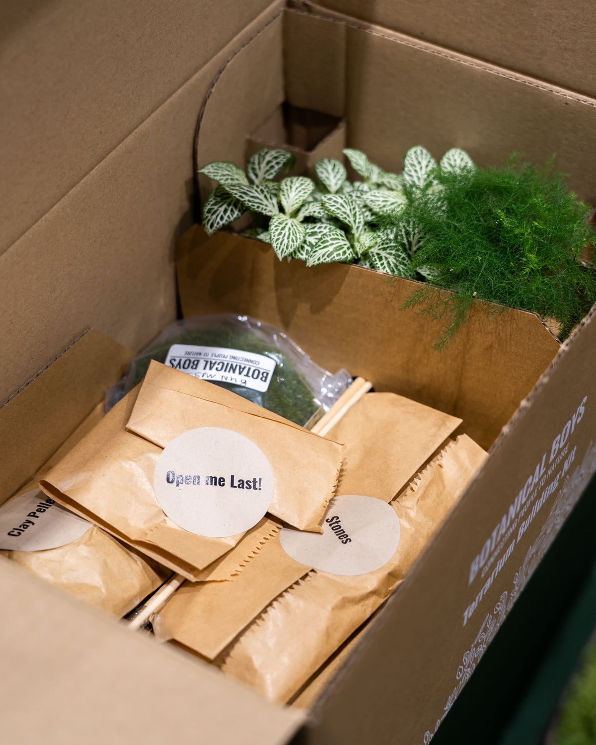Terrarium Kit ingredients - Small (No Glass)
