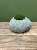 Hand-Carved Indonesian Riverstone with Preserved Moss |