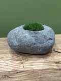 Hand-Carved Indonesian Riverstone with Preserved Moss |