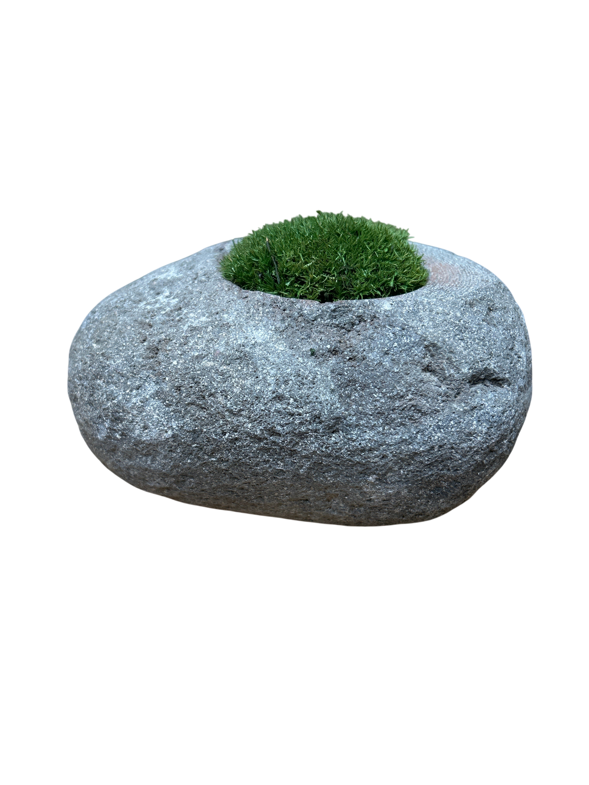 Hand-Carved Indonesian Riverstone with Preserved Moss |
