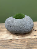 Hand-Carved Indonesian Riverstone with Preserved Moss |