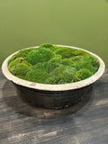 Glazed Black Asian Moss Bowl | Hand-Filled Preserved Cushion Moss