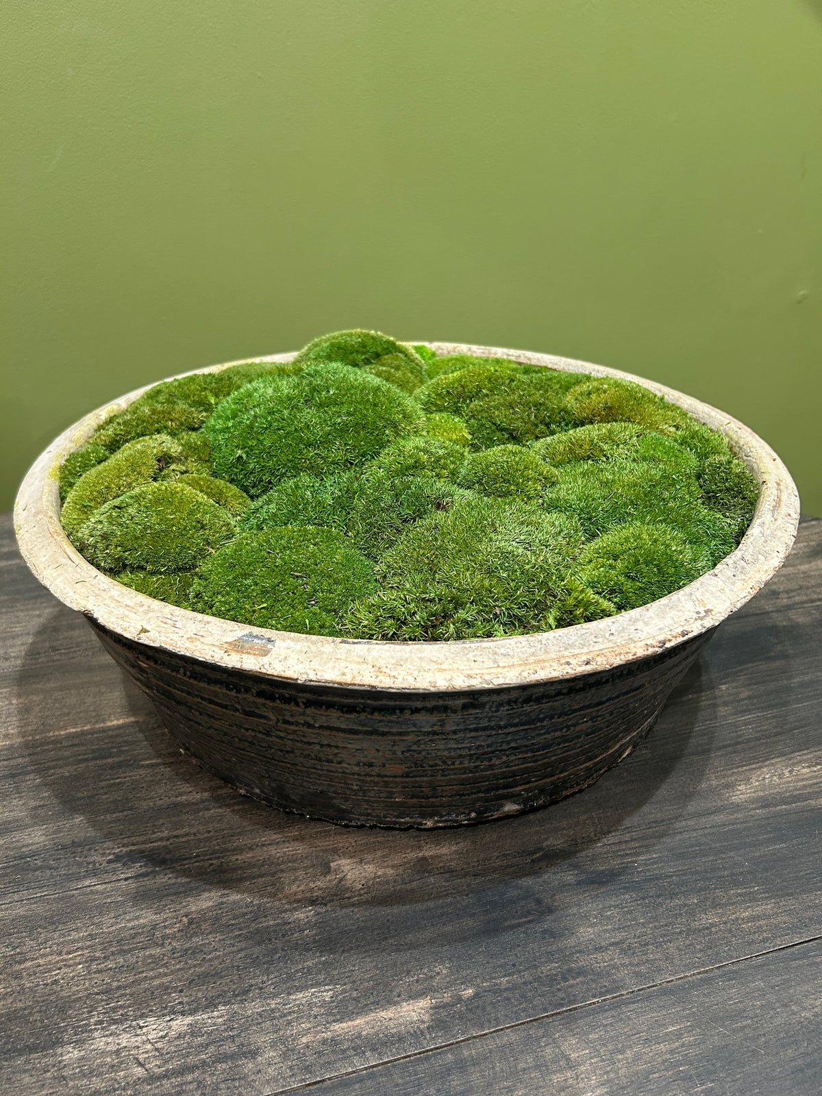 Glazed Black Asian Moss Bowl | Hand-Filled Preserved Cushion Moss