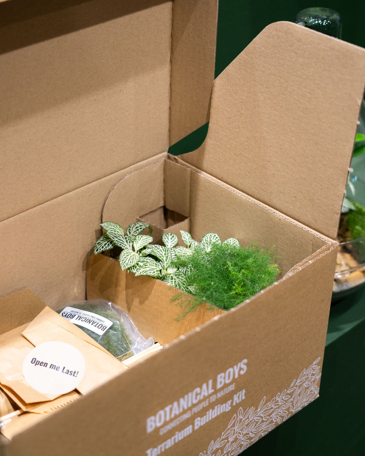 Globe Terrarium Kit 19.5cm x 19.5cm