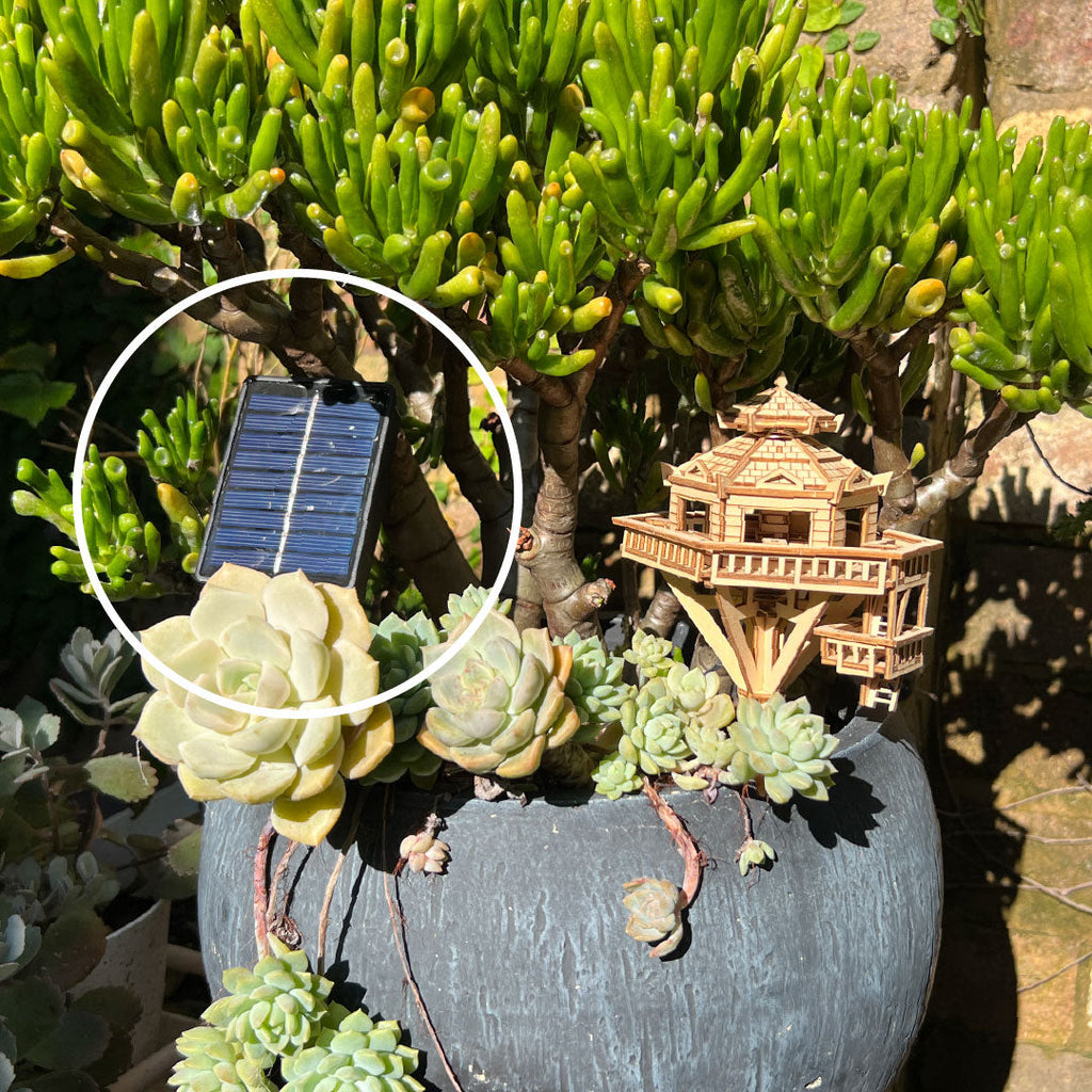 Solar Lights