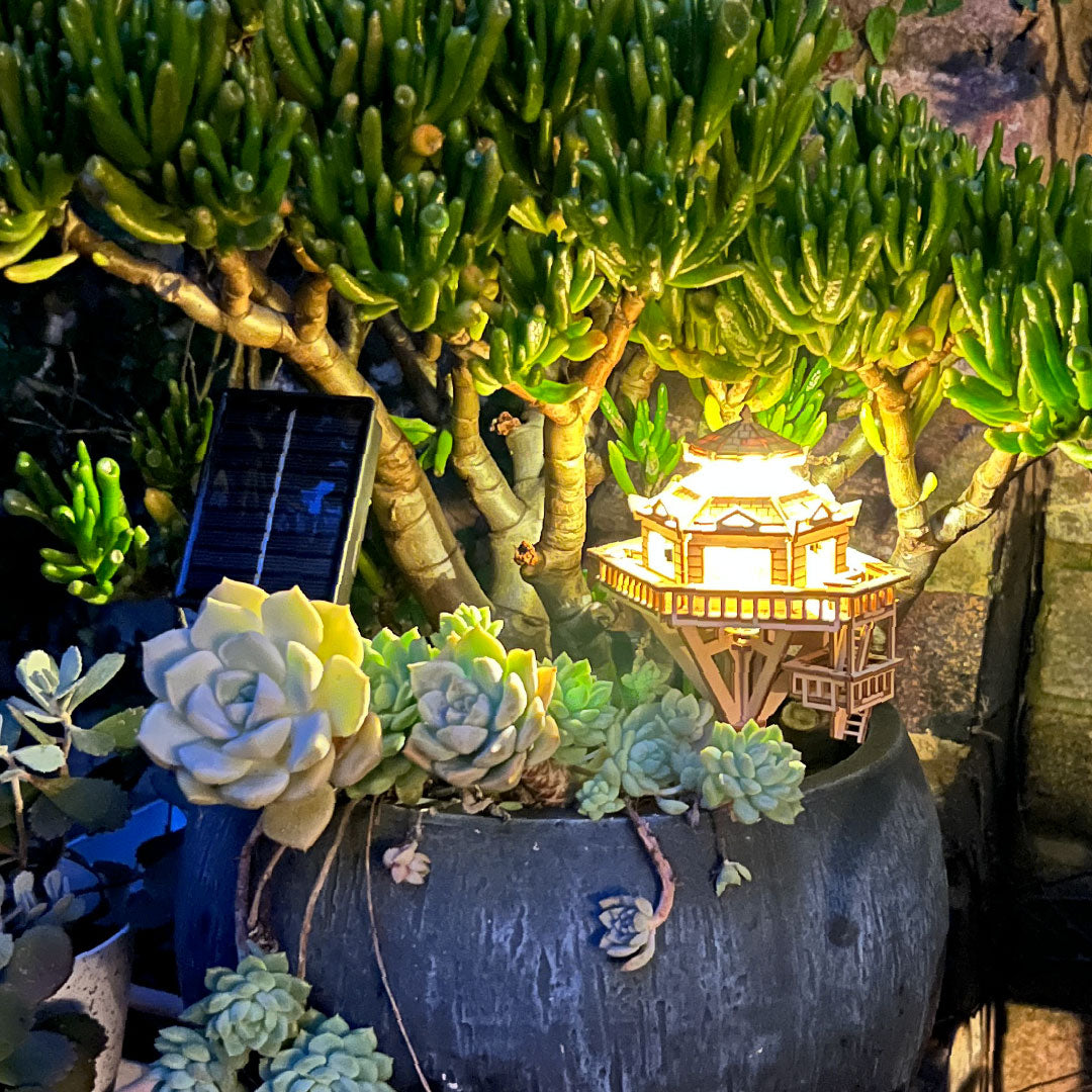 Solar Lights