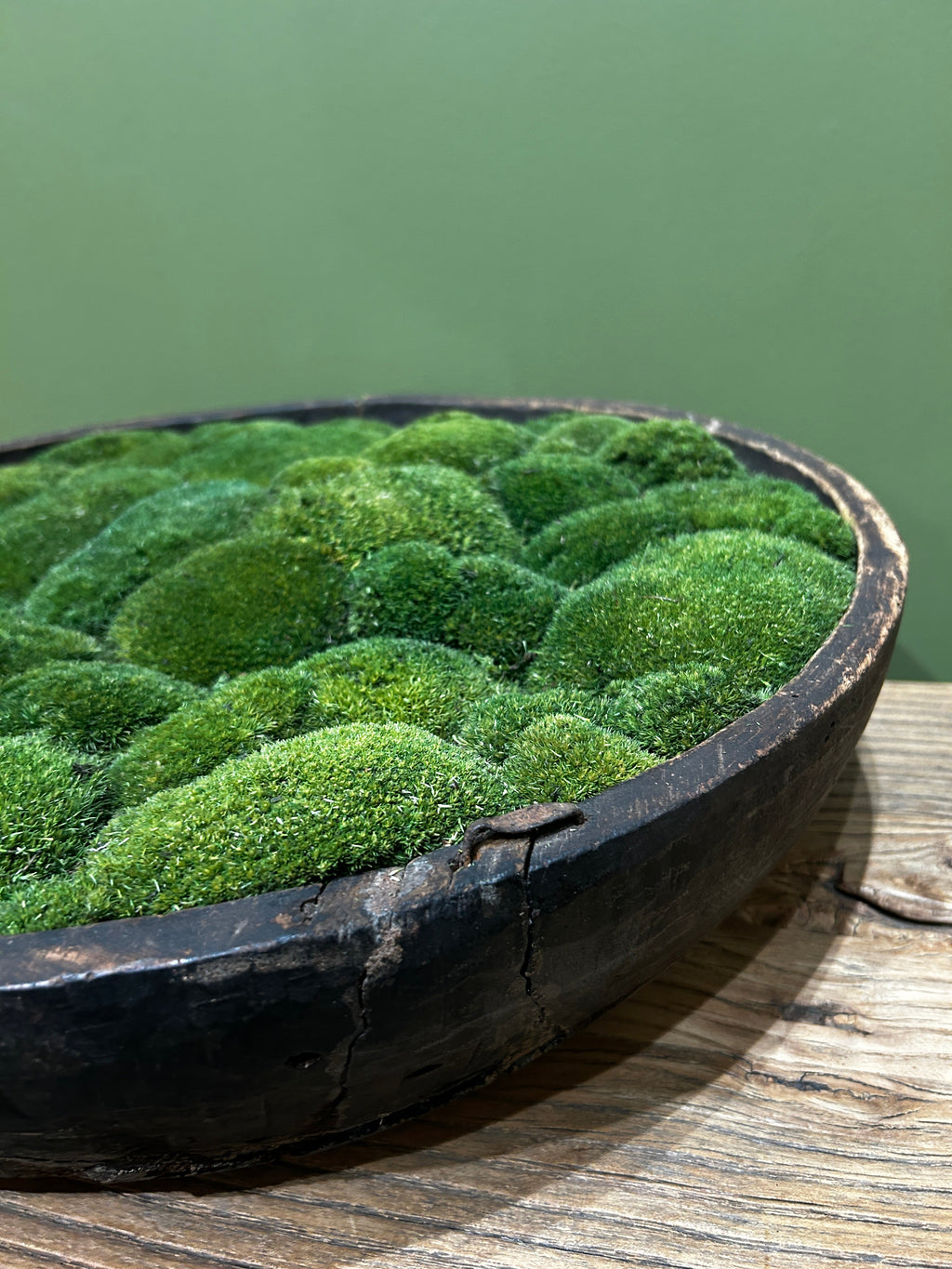 Vintage Wooden Moss Bowl with Preserved Moss | Handmade