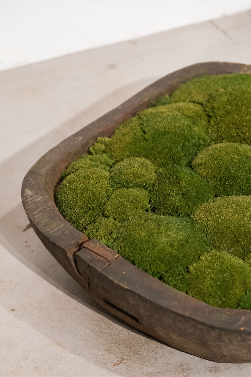 Large Vintage Wooden Bowl with Preserved Moss | Handmade