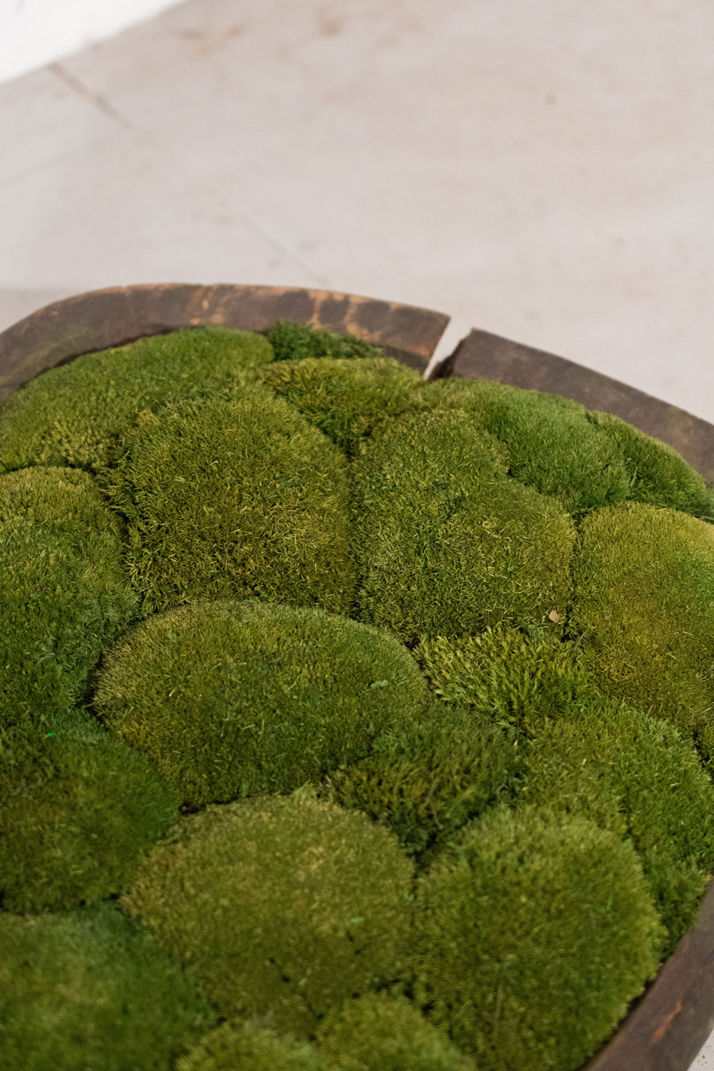 Large Vintage Wooden Bowl with Preserved Moss | Handmade