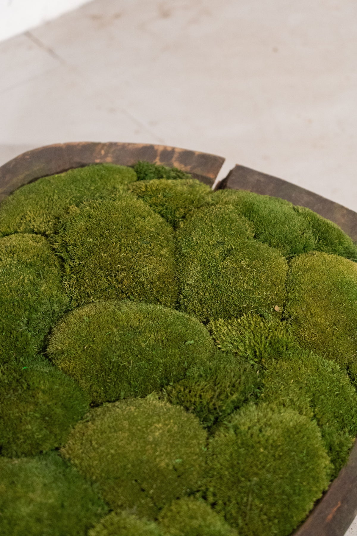 Large Vintage Wooden Bowl with Preserved Moss | Handmade