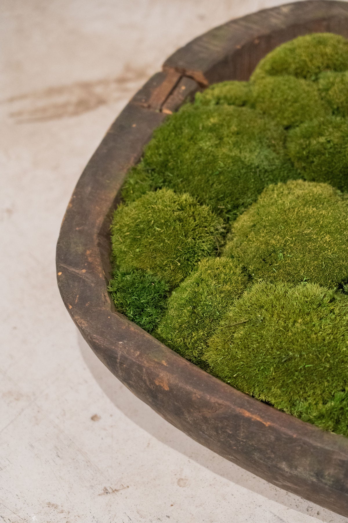 Large Vintage Wooden Bowl with Preserved Moss | Handmade