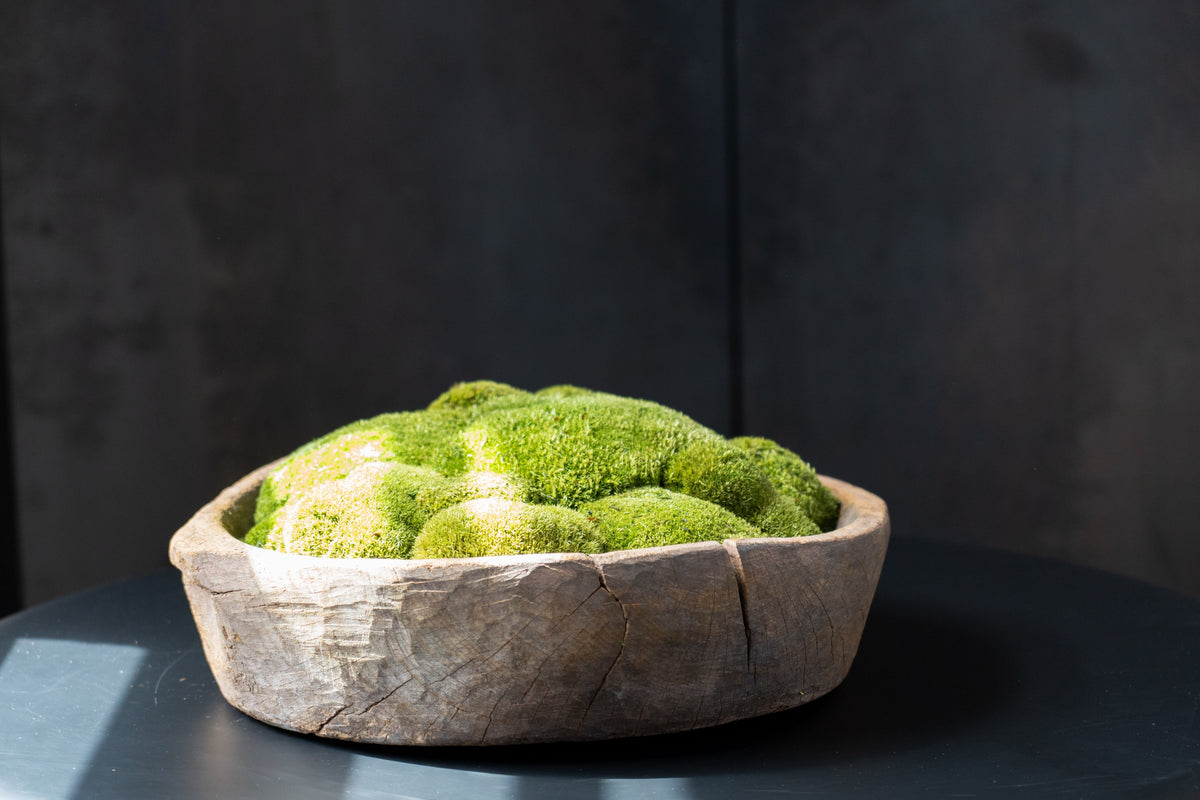 Vintage Wooden Bowl with Preserved Moss | Handmade | With or Without Moss