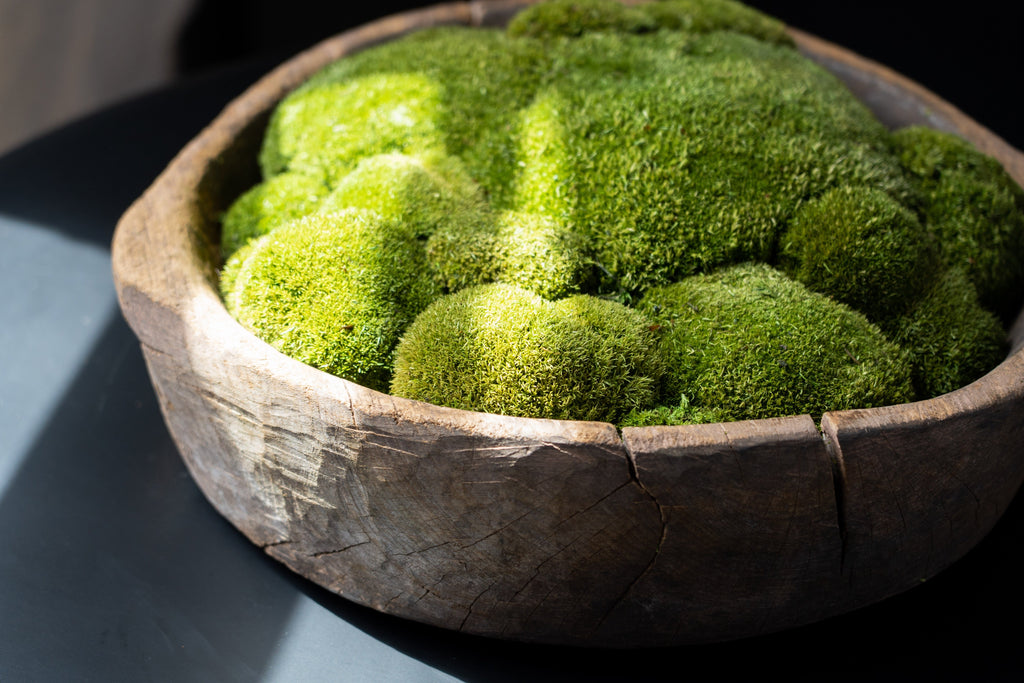 Vintage Wooden Bowl with Preserved Moss | Handmade | With or Without Moss