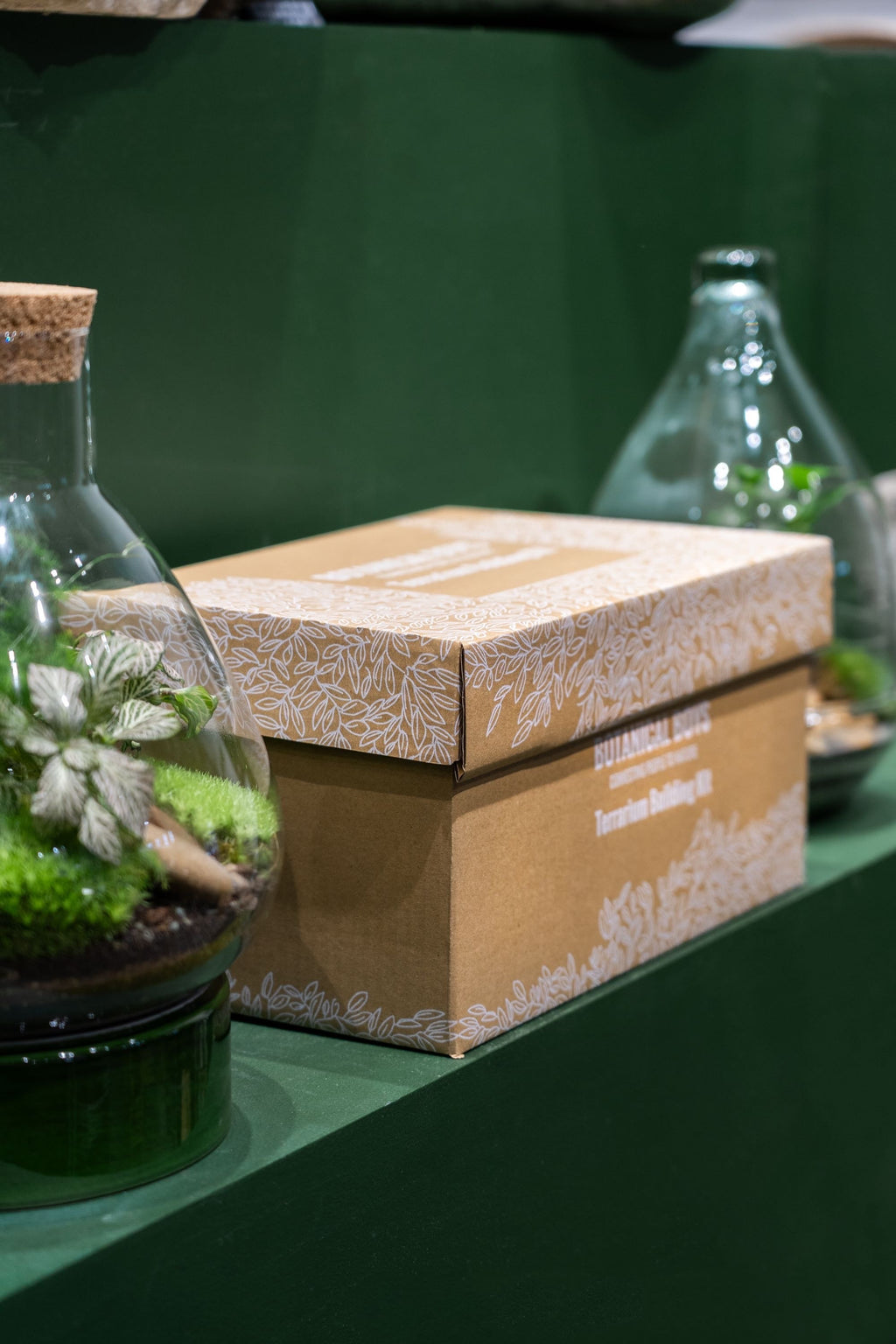Terrarium Kit ingredients - Small (No Glass)