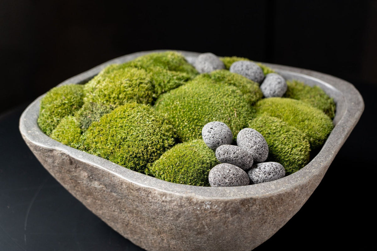 Indonesian Stone Moss Bowl | Hand-Carved | With or Without Preserved Moss