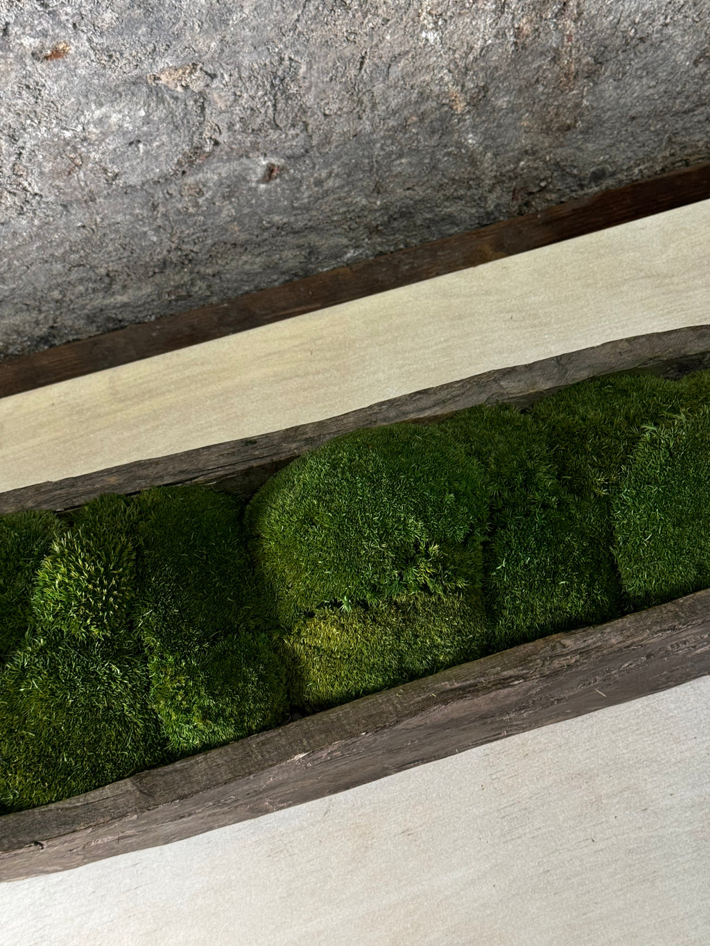 Mokoro Canoe Preserved Moss Table Display | Handmade Planter