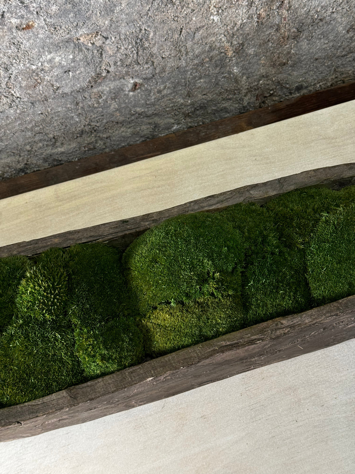 Mokoro Canoe Preserved Moss Table Display | Handmade Planter