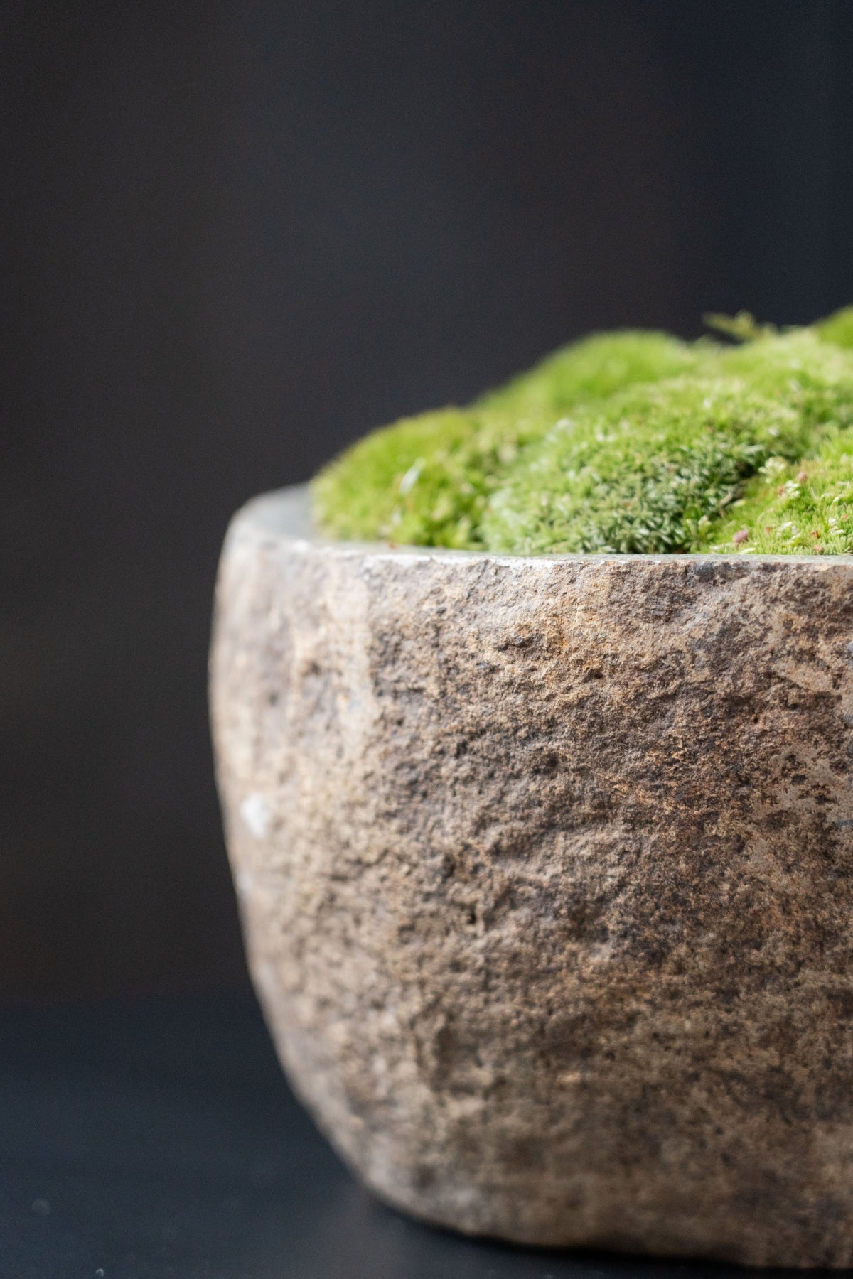 Indonesian Stone Moss Bowl | Hand-Carved | With or Without Preserved Moss