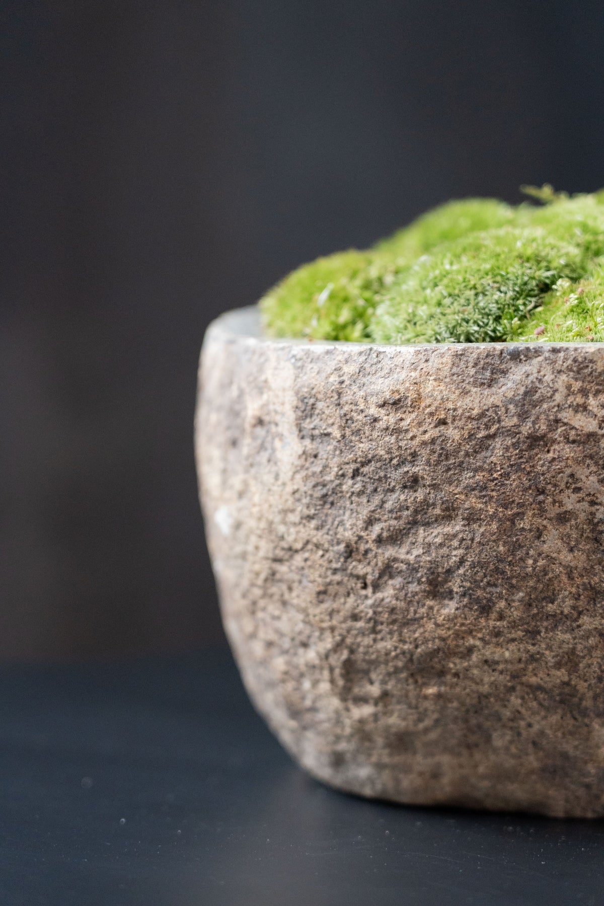 Indonesian Stone Moss Bowl | Hand-Carved | With or Without Preserved Moss