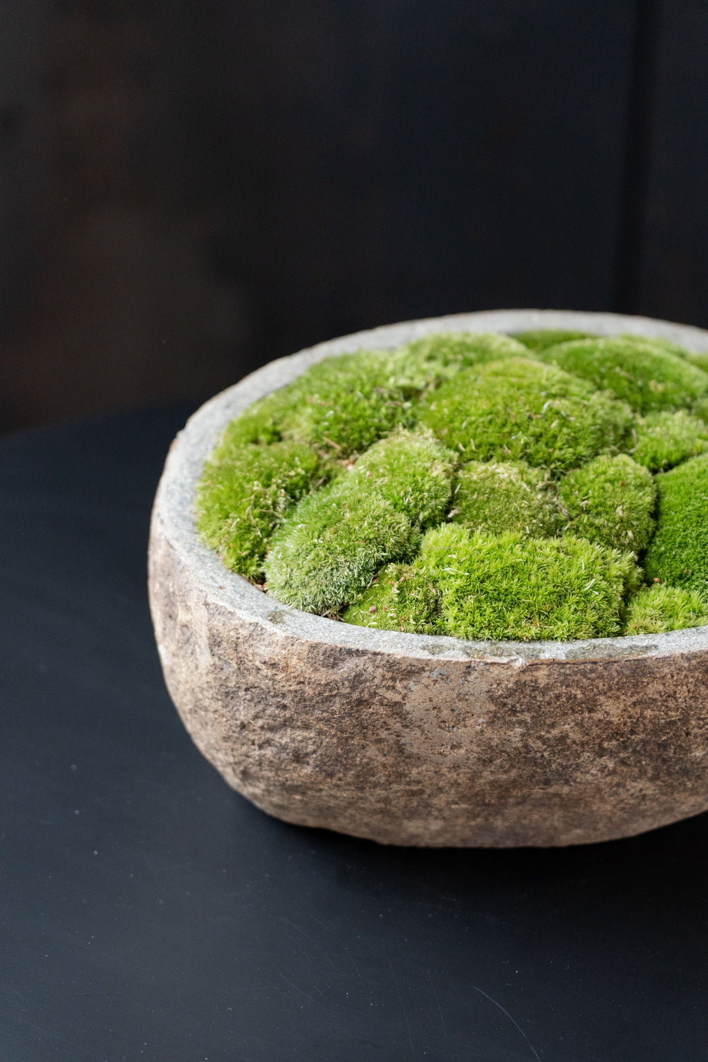 Indonesian Stone Moss Bowl | Hand-Carved | With or Without Preserved Moss