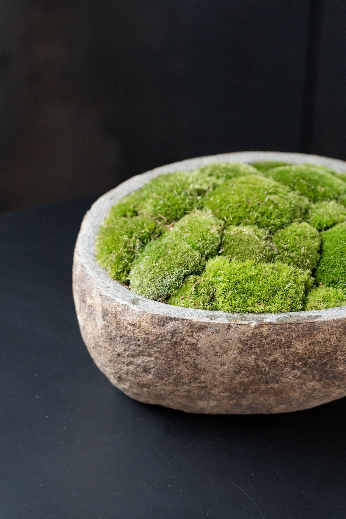 Indonesian Stone Moss Bowl | Hand-Carved | With or Without Preserved Moss