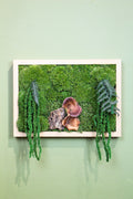 Handmade Preserved Moss Wall Art | Forest | Wooden Frame | A4 Landscape