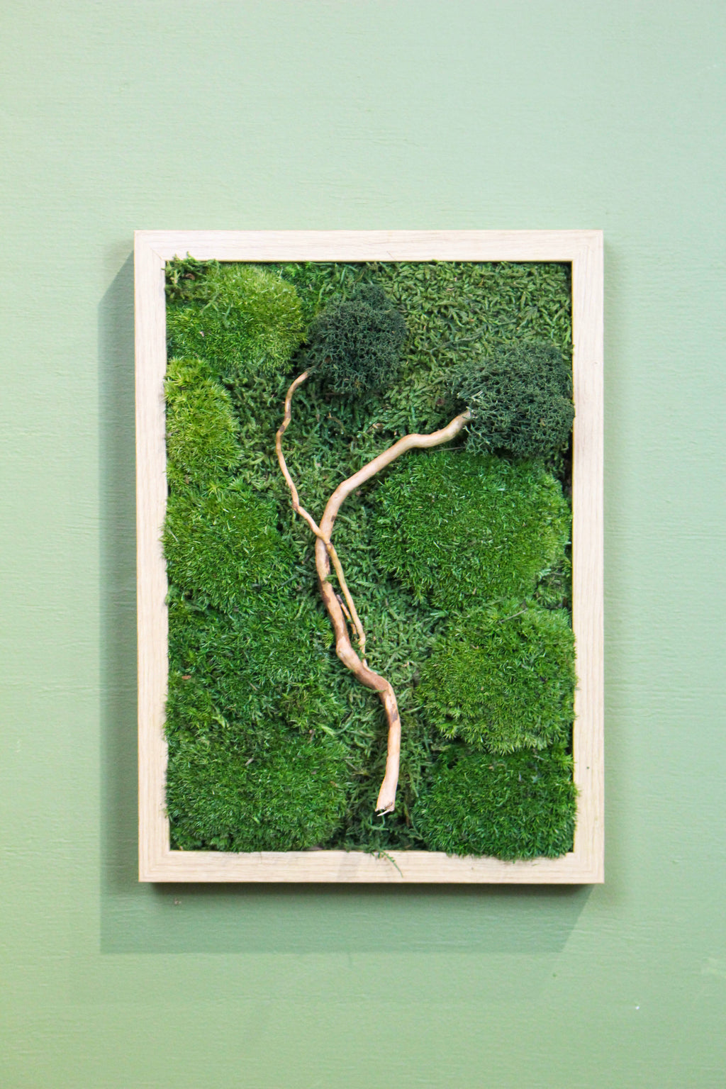 Handmade Preserved Moss Wall Art | Zen | Wooden Frame | A4