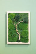 Handmade Preserved Moss Wall Art | Zen | Wooden Frame | A4