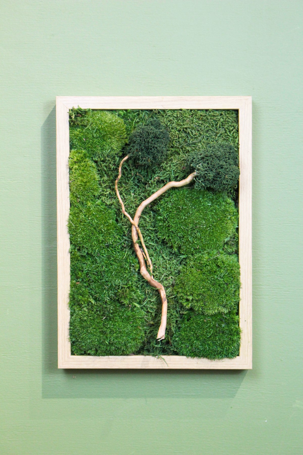 Handmade Preserved Moss Wall Art | Zen | Wooden Frame | A4