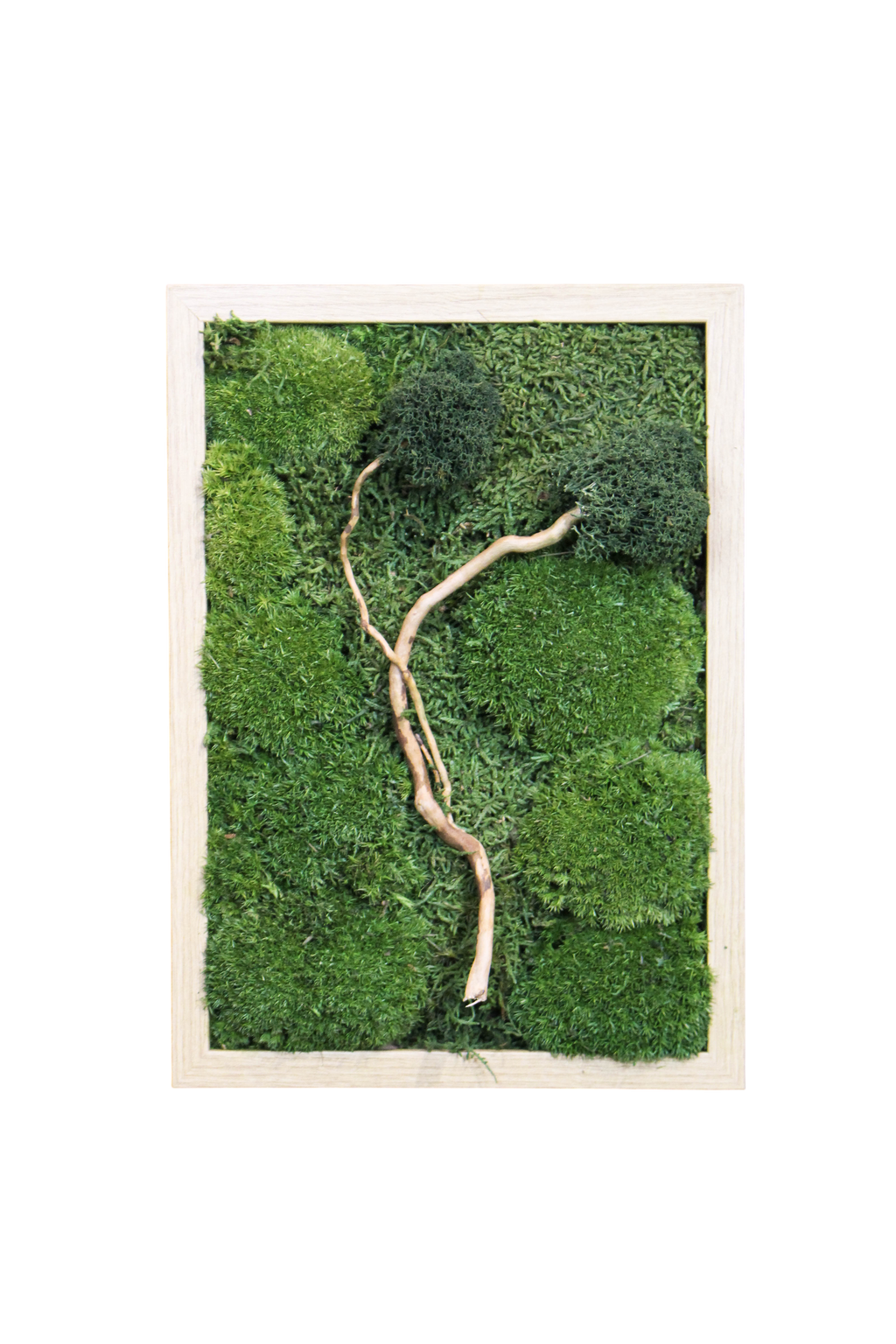 Handmade Preserved Moss Wall Art | Zen | Wooden Frame | A4