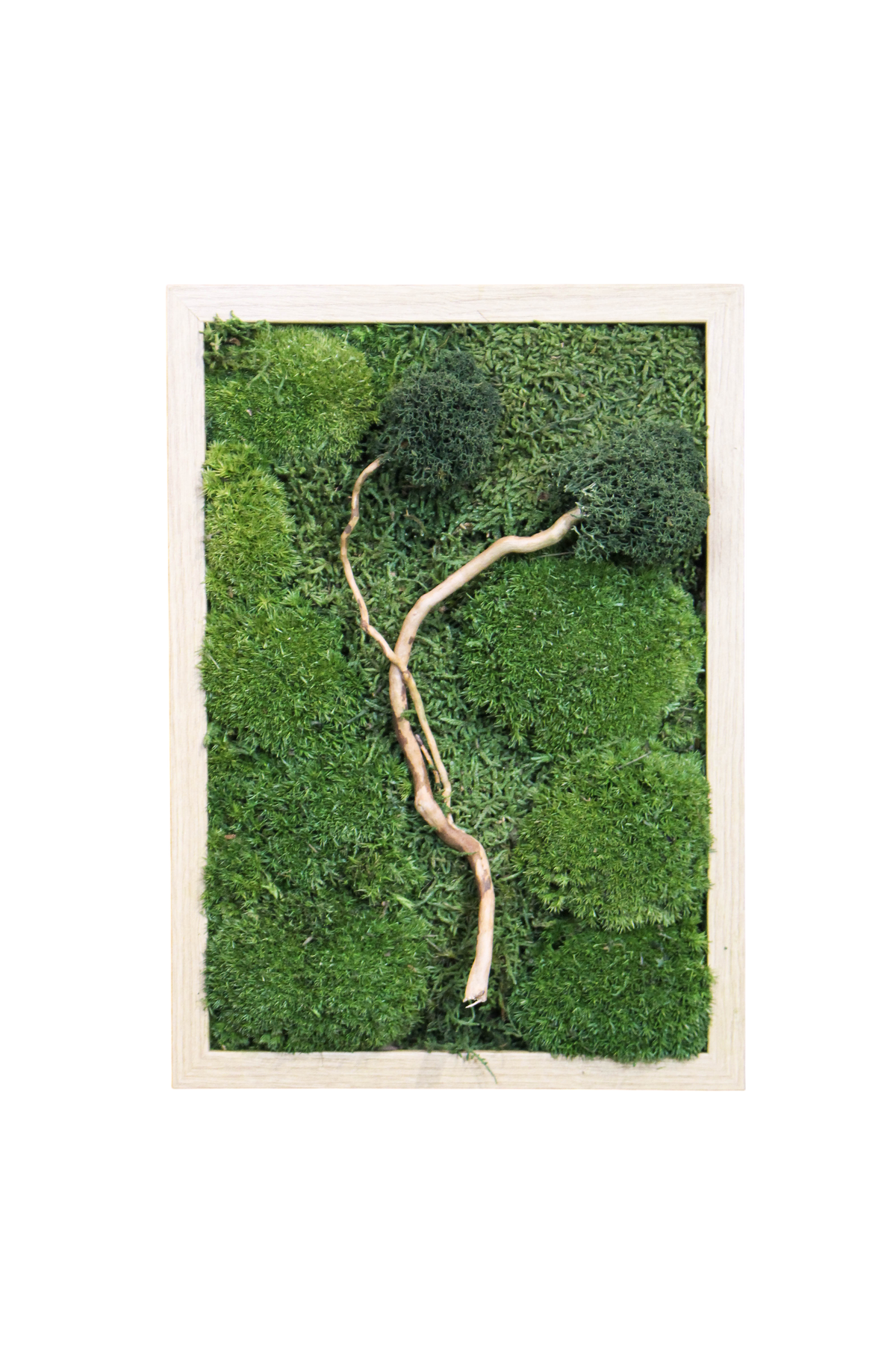 Handmade Preserved Moss Wall Art | Zen | Wooden Frame | A4