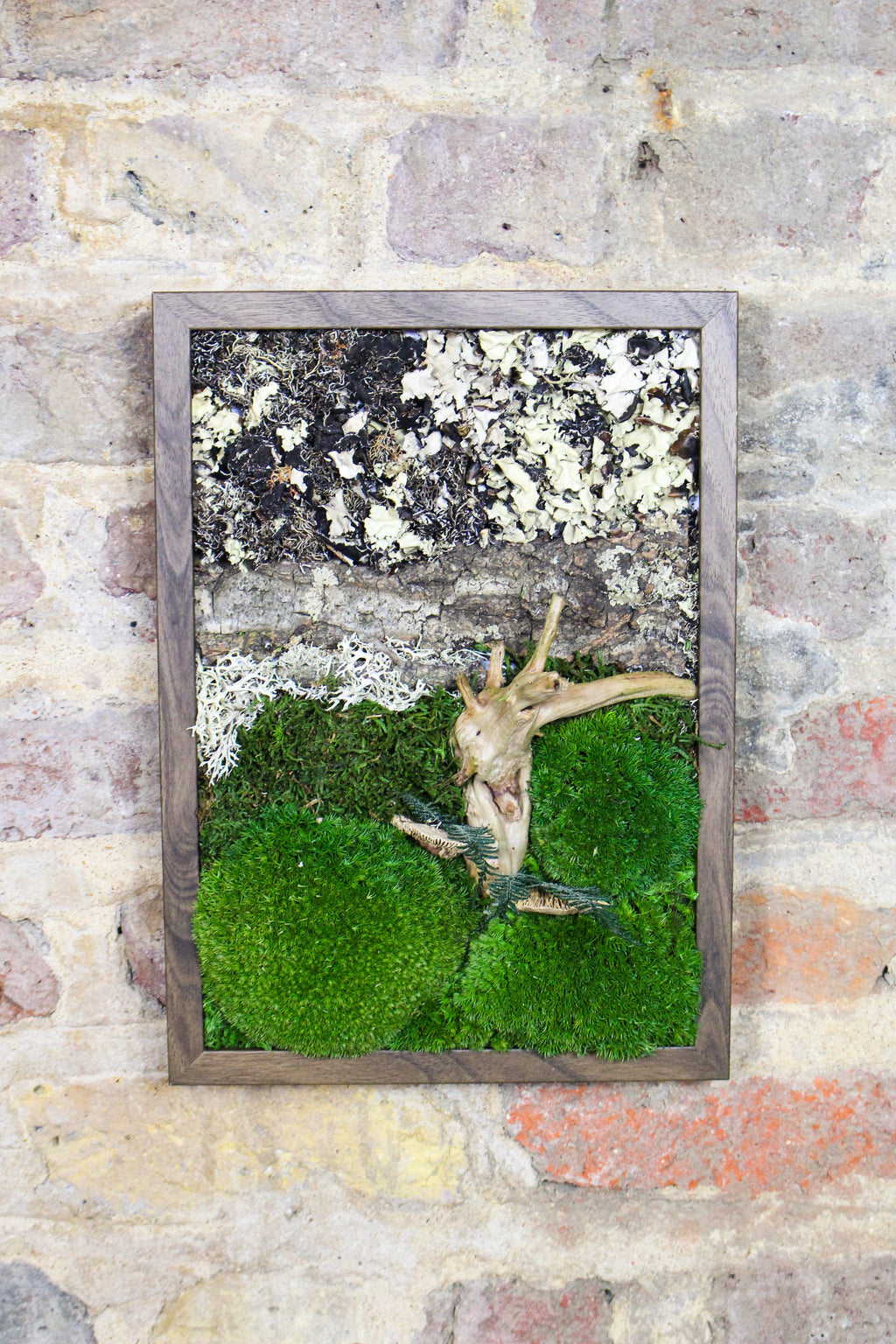 Handmade Preserved Moss Wall Art | Wooden Frame | A4 | Bun Moss & Driftwood