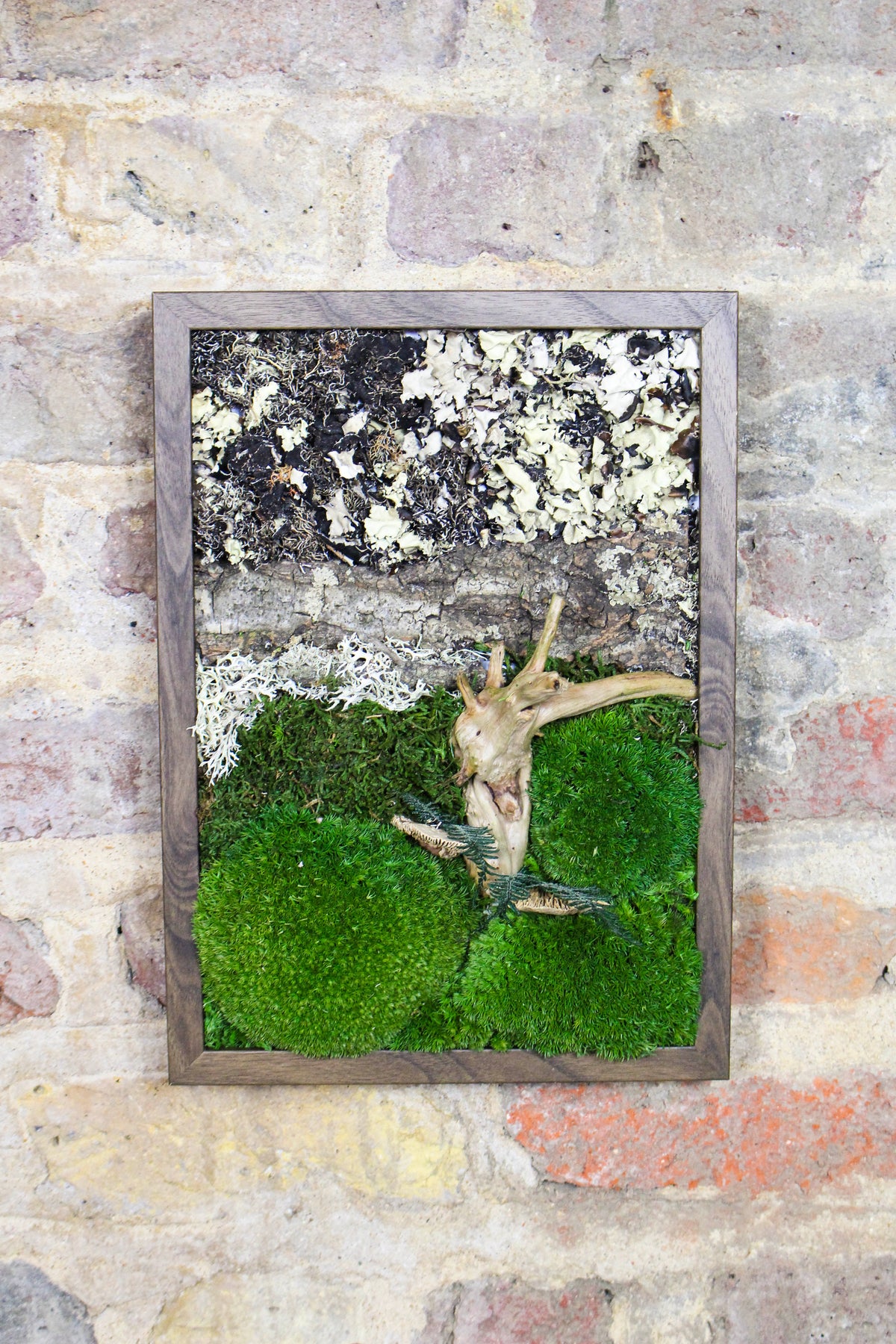 Handmade Preserved Moss Wall Art | Wooden Frame | A4 | Bun Moss & Driftwood