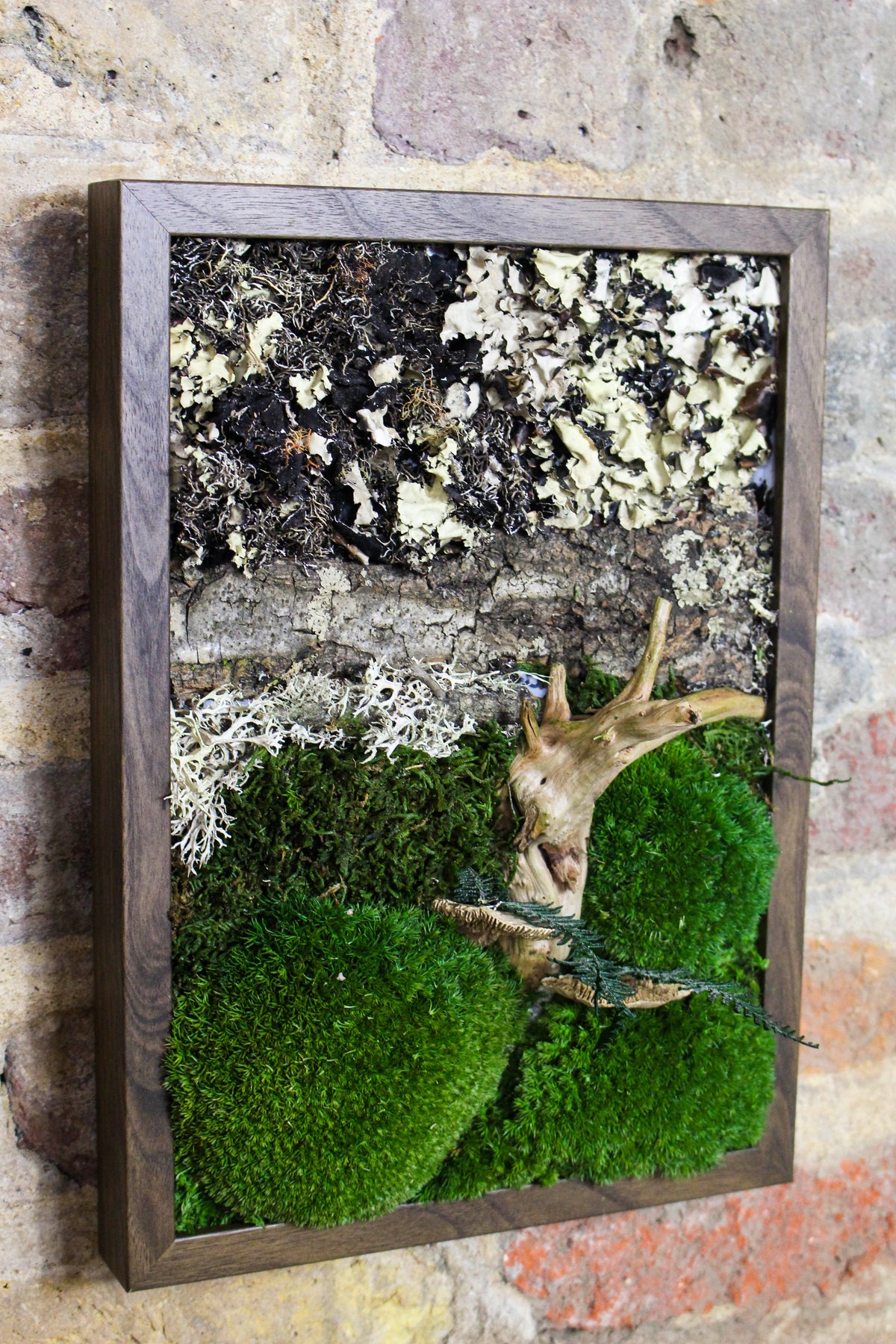 Handmade Preserved Moss Wall Art | Wooden Frame | A4 | Bun Moss & Driftwood