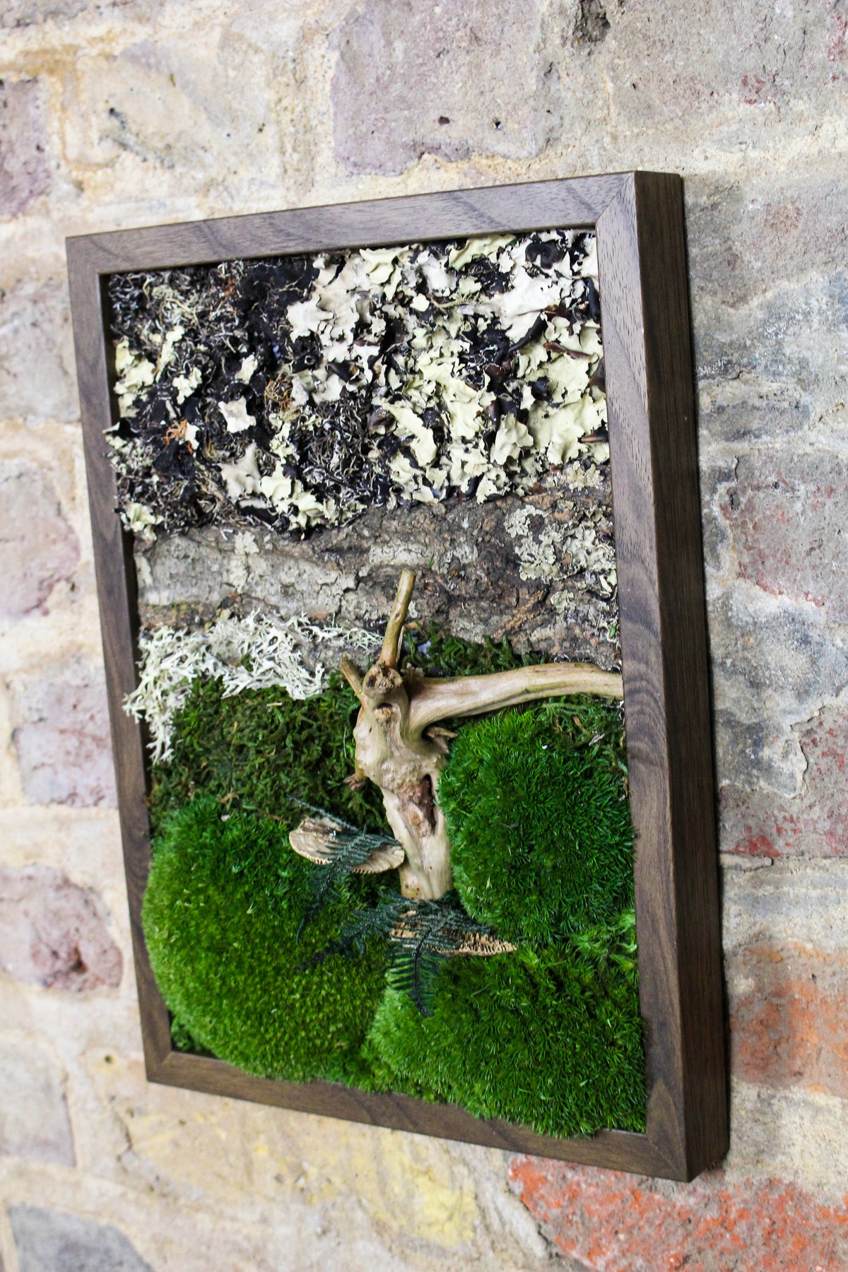 Handmade Preserved Moss Wall Art | Wooden Frame | A4 | Bun Moss & Driftwood
