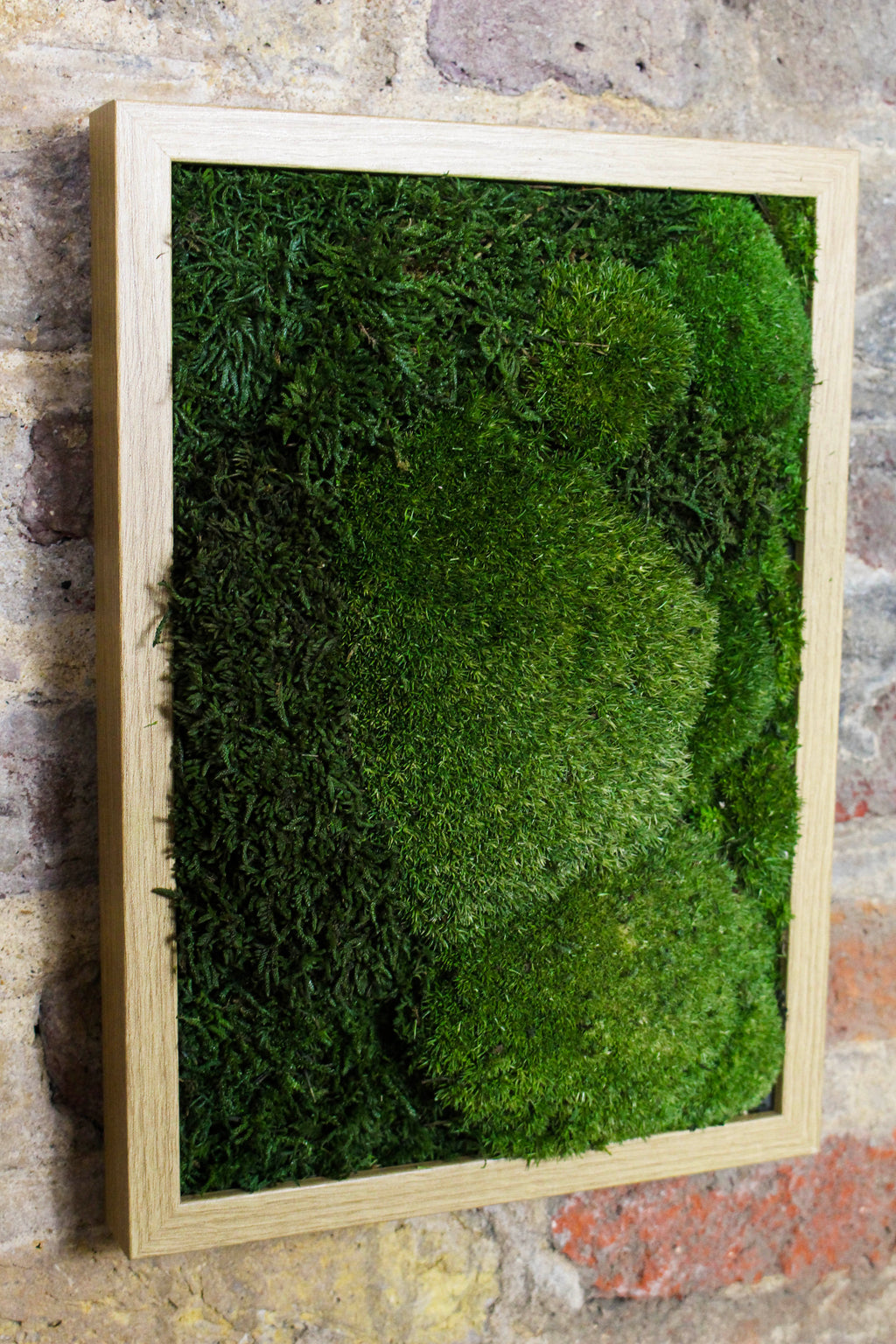 Handmade Preserved Moss Wall Art | Wooden Frame | A4 | Bun Moss & Driftwood