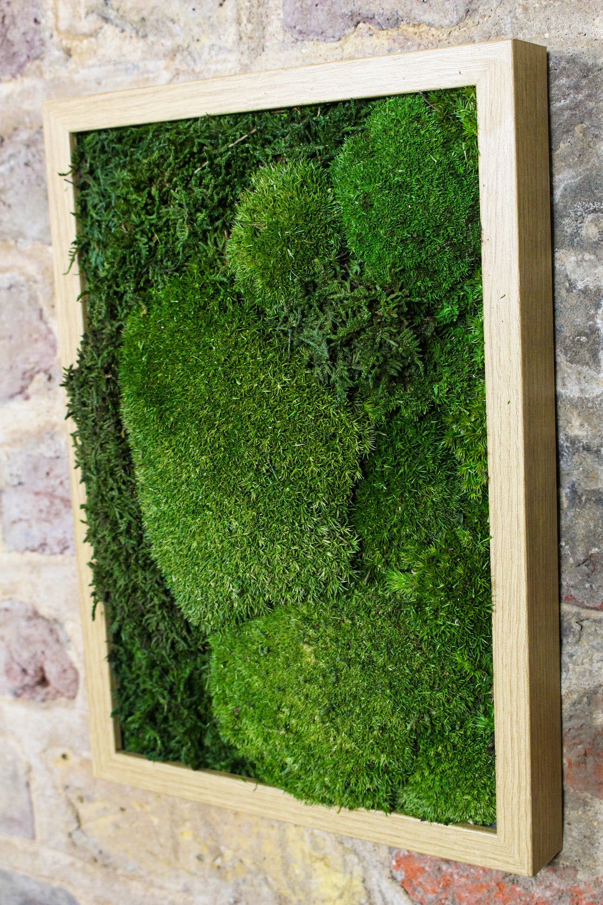 Handmade Preserved Moss Wall Art | Wooden Frame | A4 | Bun Moss & Driftwood