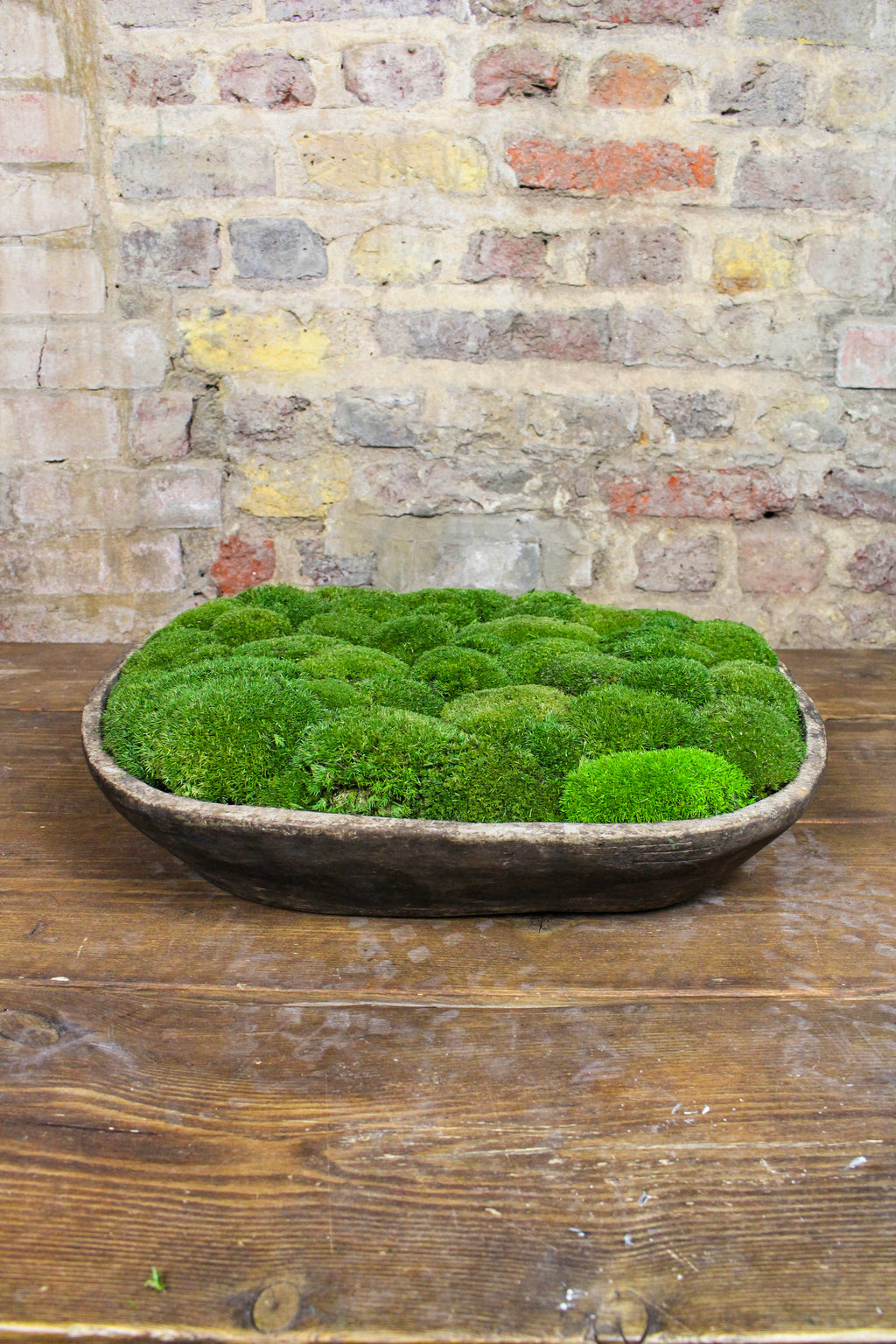 Vintage Wooden Moss Bowl | Preserved Moss