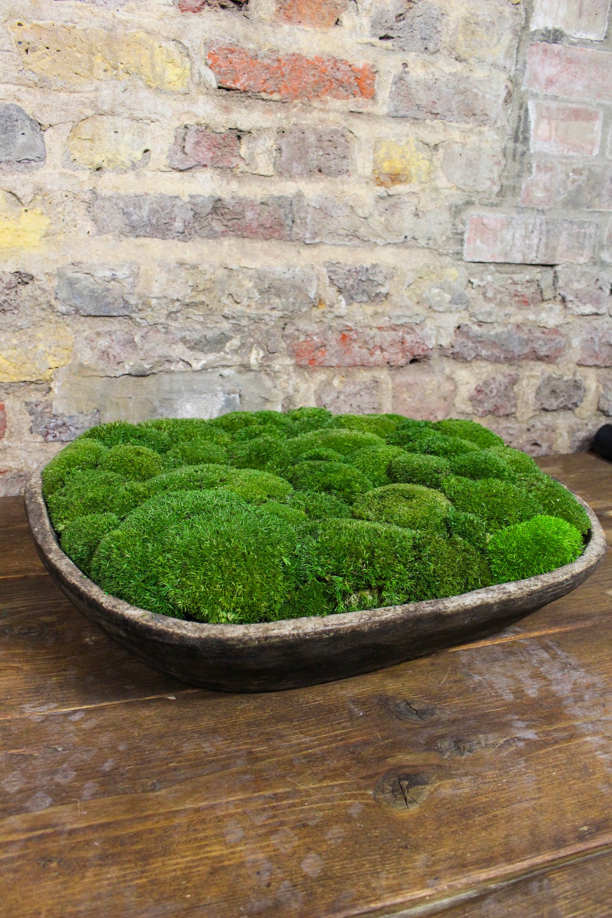 Vintage Wooden Moss Bowl | Preserved Moss