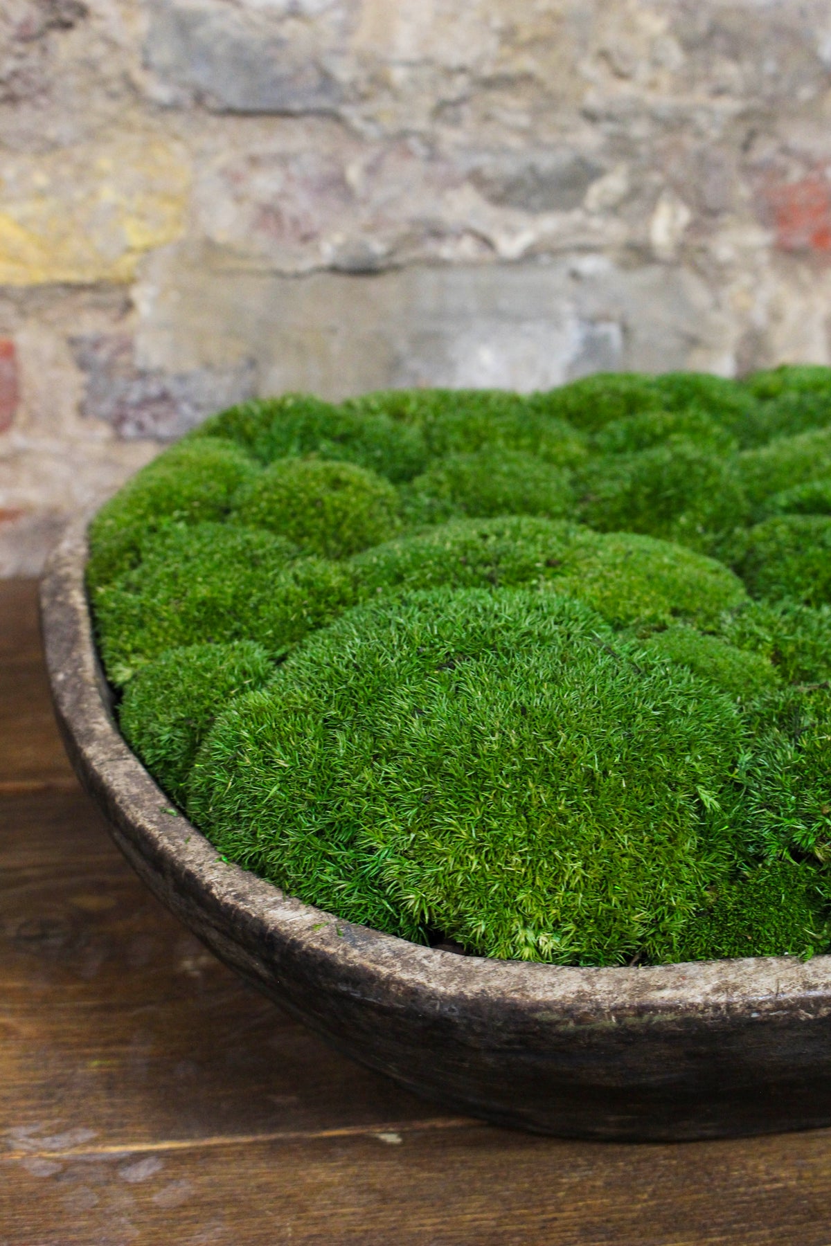 Vintage Wooden Moss Bowl | Preserved Moss