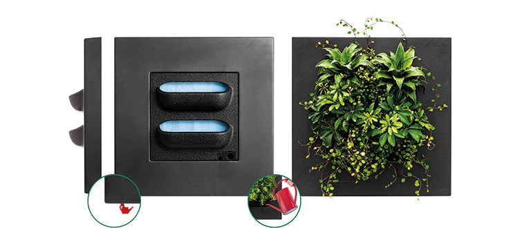 Bamboo Living Wall Picture Frame | Natural | 51.6cm | Self-Watering | Indoor & Outdoor