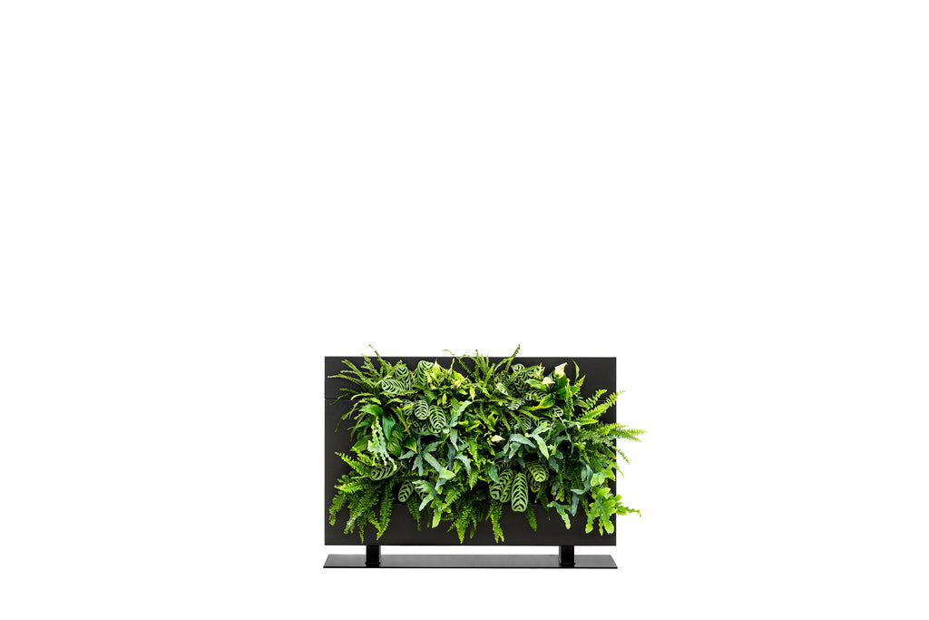 Freestanding Living Wall Divider | Black | 81cm | Self-Irrigating | No Electricity Required
