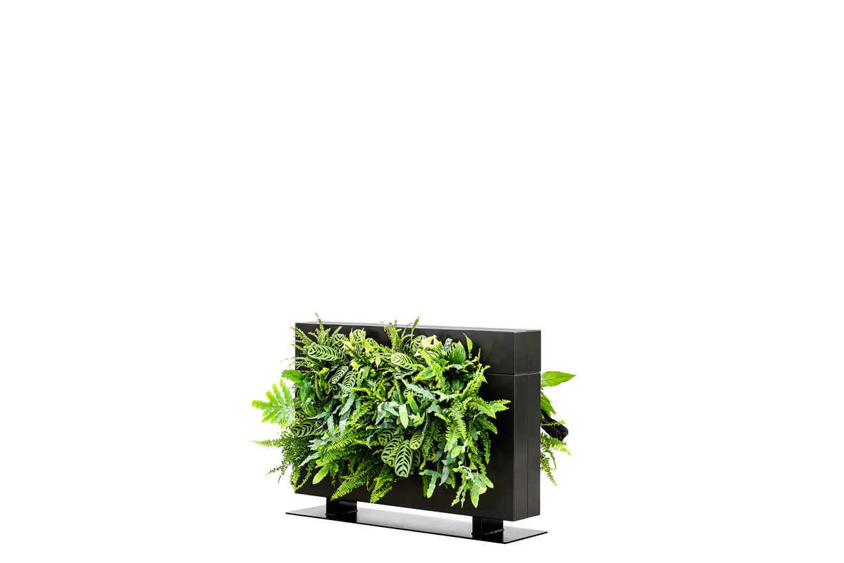 Freestanding Living Wall Divider | Black | 81cm | Self-Irrigating | No Electricity Required