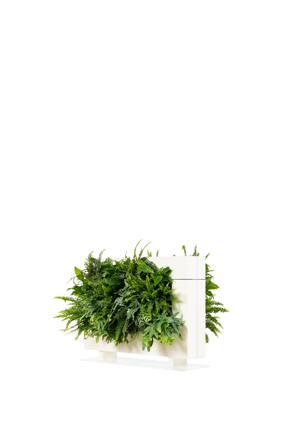 Freestanding Living Wall Divider | White | 81cm | Self-Irrigating | No Electricity Required